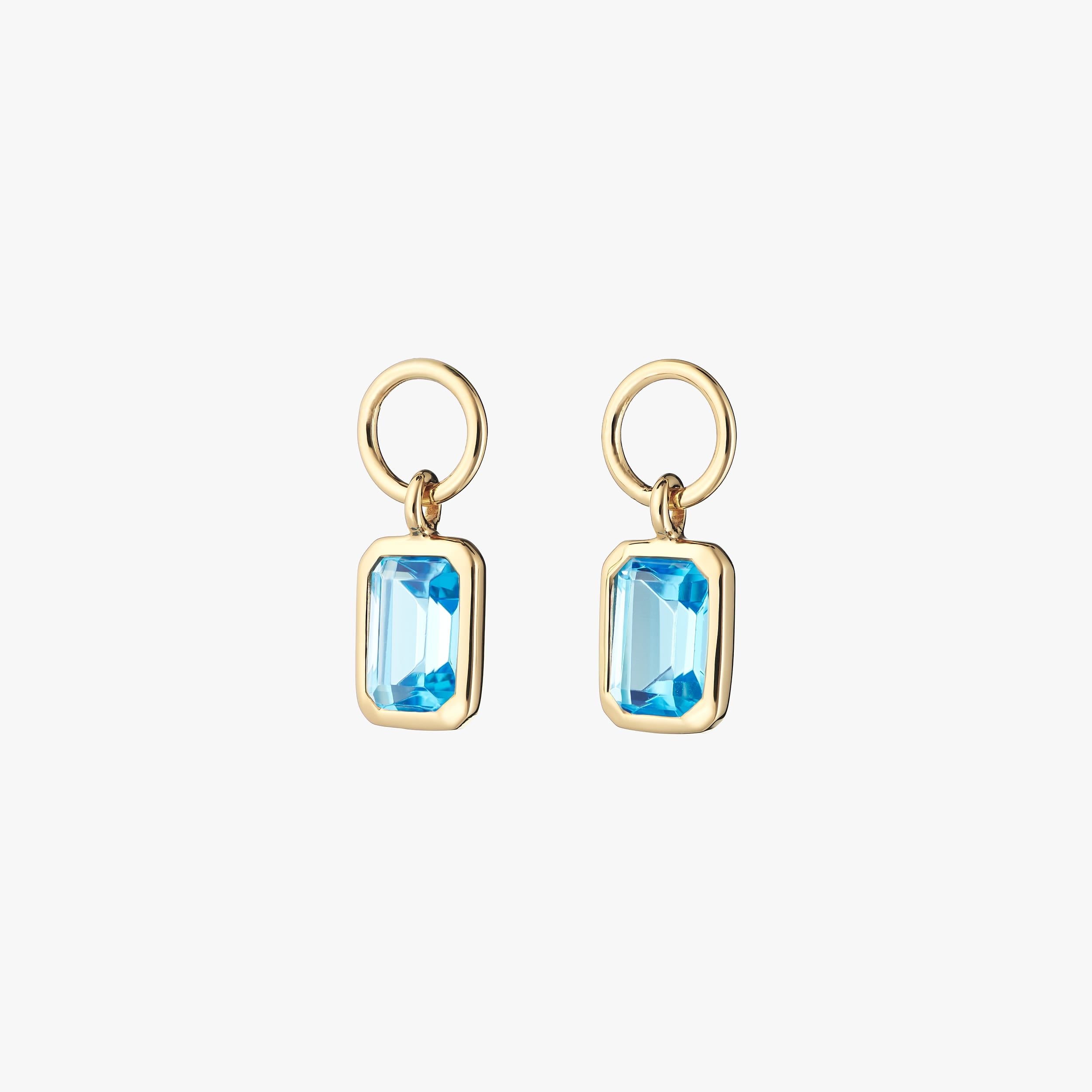 Hoop Charms